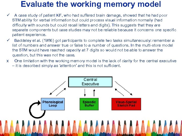 Evaluate the working memory model ü A case study of patient KF, who had