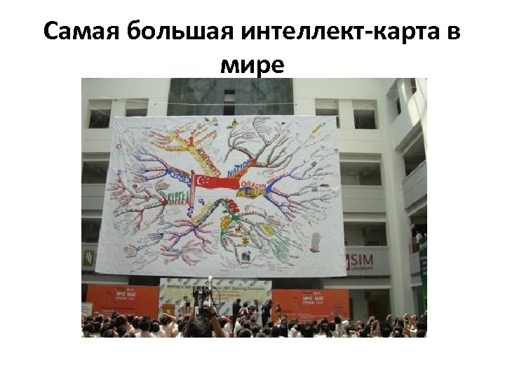 Самая большая интеллект-карта в мире 