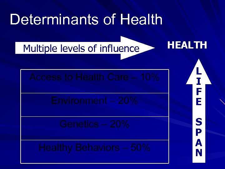 Determinants of Health Multiple levels of influence Access to Health Care – 10% Environment