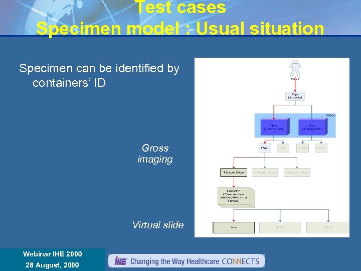 Test cases Specimen model : Usual situation Specimen can be identified by containers’ ID