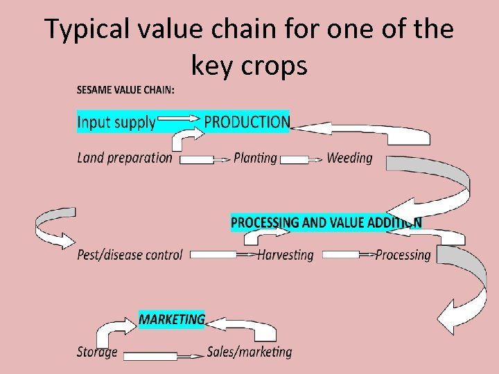 Typical value chain for one of the key crops 