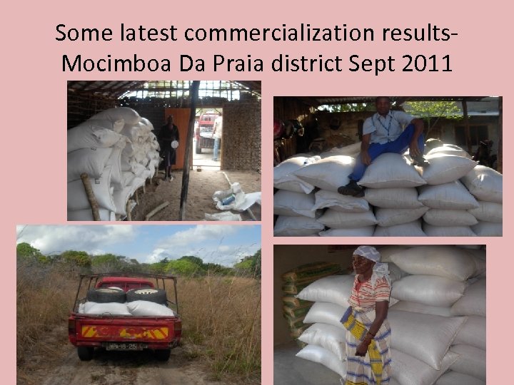 Some latest commercialization results. Mocimboa Da Praia district Sept 2011 