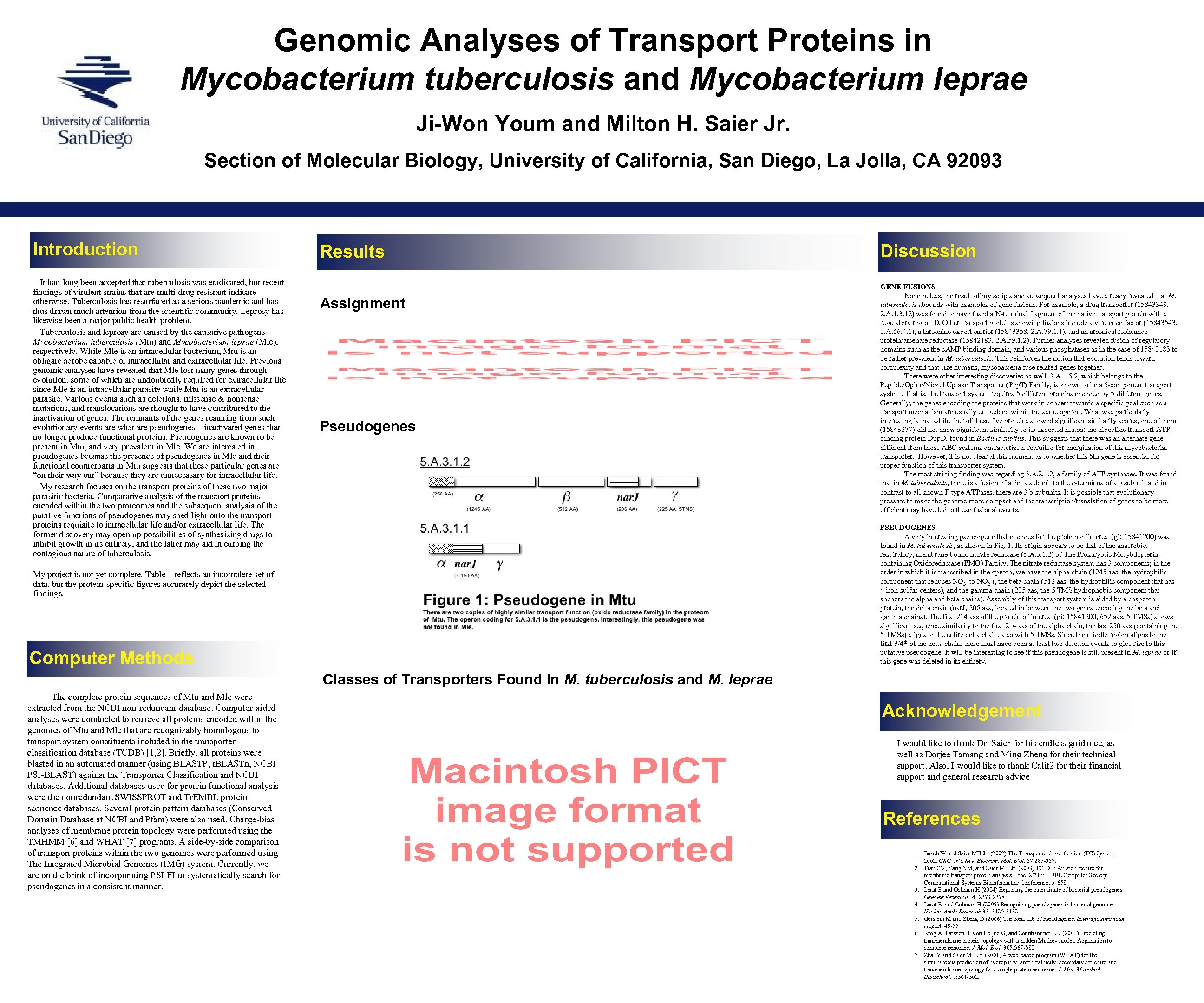 Genomic Analyses of Transport Proteins in Mycobacterium tuberculosis and Mycobacterium leprae Ji-Won Youm and