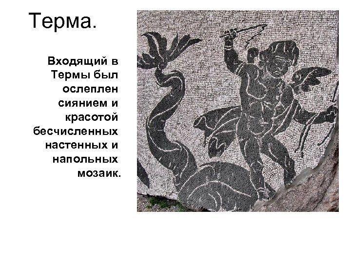 Терма. Входящий в Термы был ослеплен сиянием и красотой бесчисленных настенных и напольных мозаик.