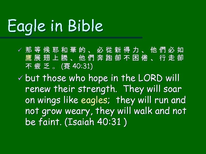 Eagle in Bible ü 那等候耶和華的、必從新得力、他們必如 鷹展翅上騰、他們奔跑卻不困倦、行走卻 不 疲 乏 。 (賽 40: 31) ü