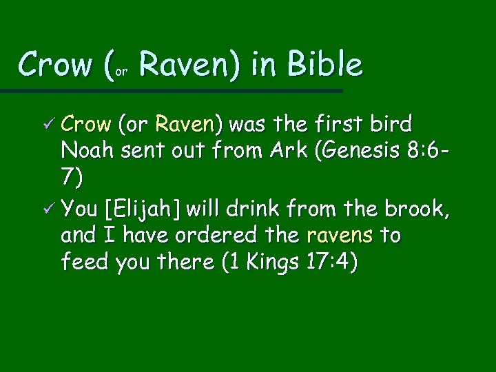 Crow ( Raven) in Bible or ü Crow (or Raven) was the first bird