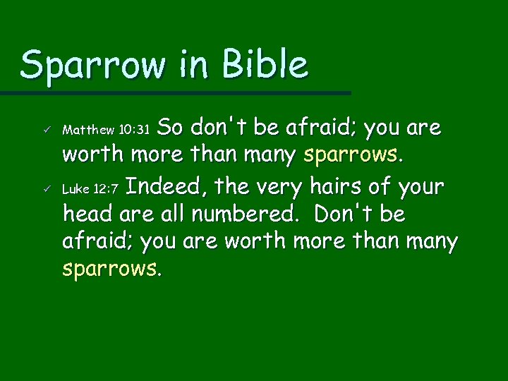 Sparrow in Bible ü ü So don't be afraid; you are worth more than