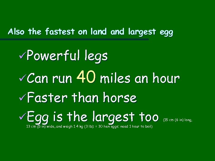 Also the fastest on land largest egg üPowerful legs run 40 miles an hour