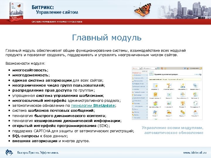 Главный модуль обеспечивает общее функционирование системы, взаимодействие всех модулей продукта и позволяет создавать, поддерживать