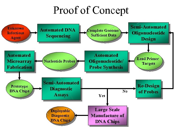 Proof of Concept Unknown Infectious Agent Automated Microarray Fabrication Prototype DNA Chips Automated DNA