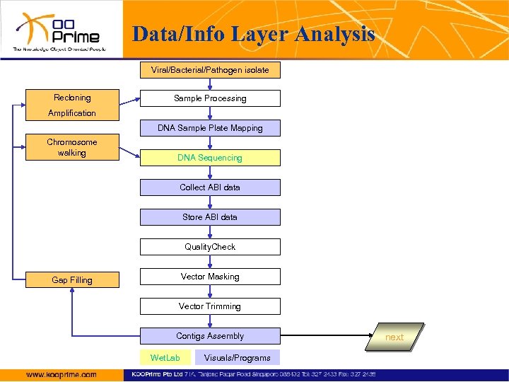 Data/Info Layer Analysis Viral/Bacterial/Pathogen isolate Recloning Sample Processing Amplification DNA Sample Plate Mapping Chromosome
