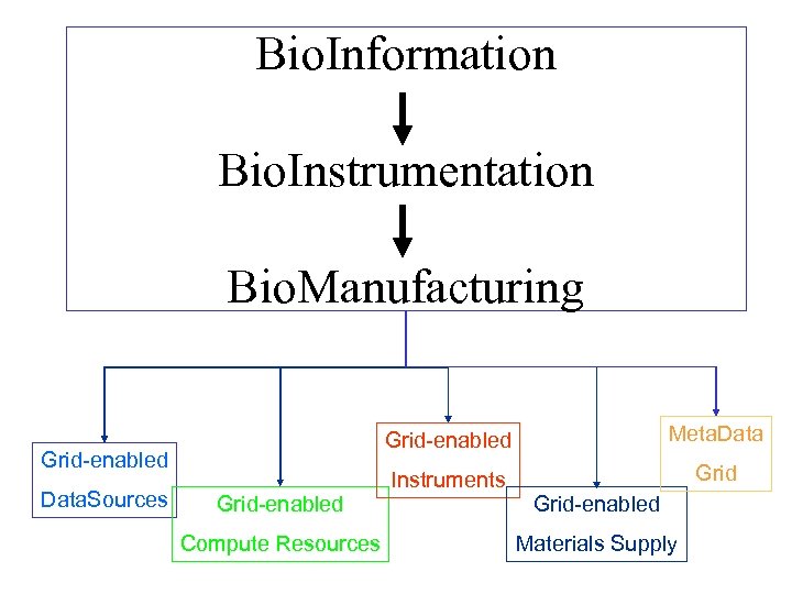 Bio. Information Bio. Instrumentation Bio. Manufacturing Grid-enabled Data. Sources Grid-enabled Compute Resources Meta. Data
