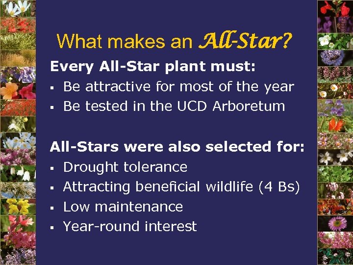 What makes an All-Star? Every All-Star plant must: § Be attractive for most of