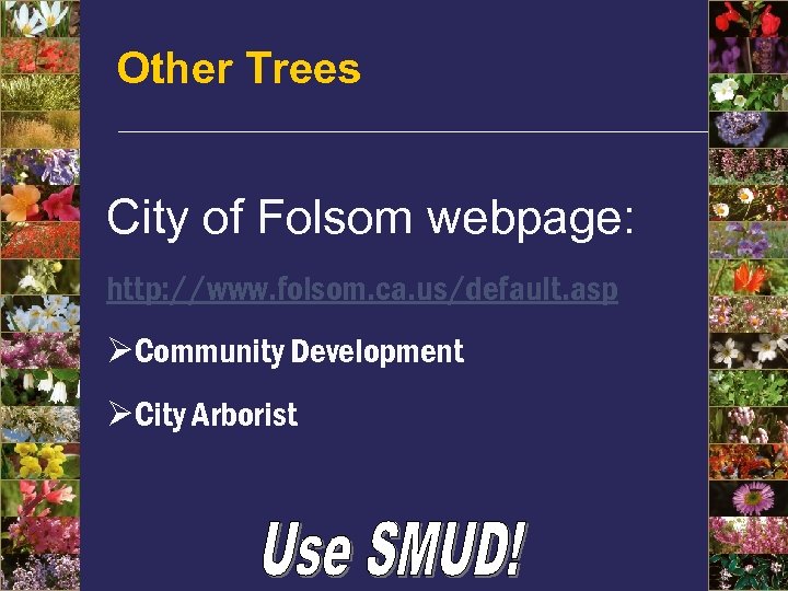 Other Trees City of Folsom webpage: http: //www. folsom. ca. us/default. asp ØCommunity Development