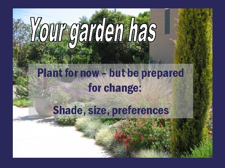 Plant for now – but be prepared for change: Shade, size, preferences 