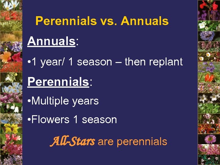 Perennials vs. Annuals: • 1 year/ 1 season – then replant Perennials: • Multiple