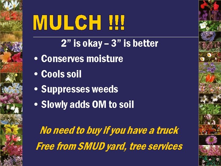 2” is okay – 3” is better • Conserves moisture • Cools soil •