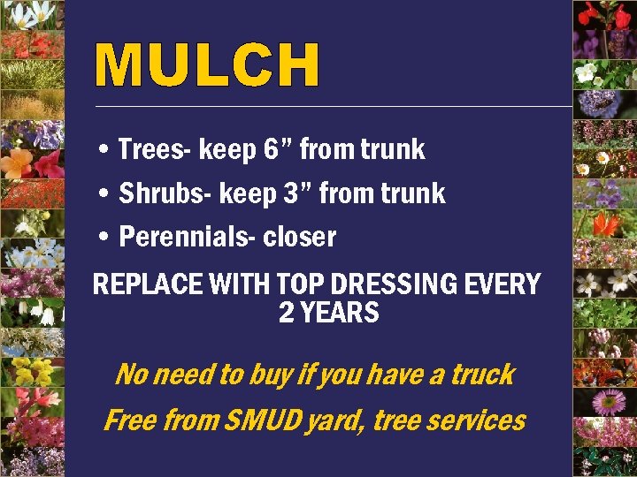  • Trees- keep 6” from trunk • Shrubs- keep 3” from trunk •