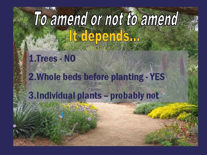 1. Trees - NO 2. Whole beds before planting - YES 3. Individual plants