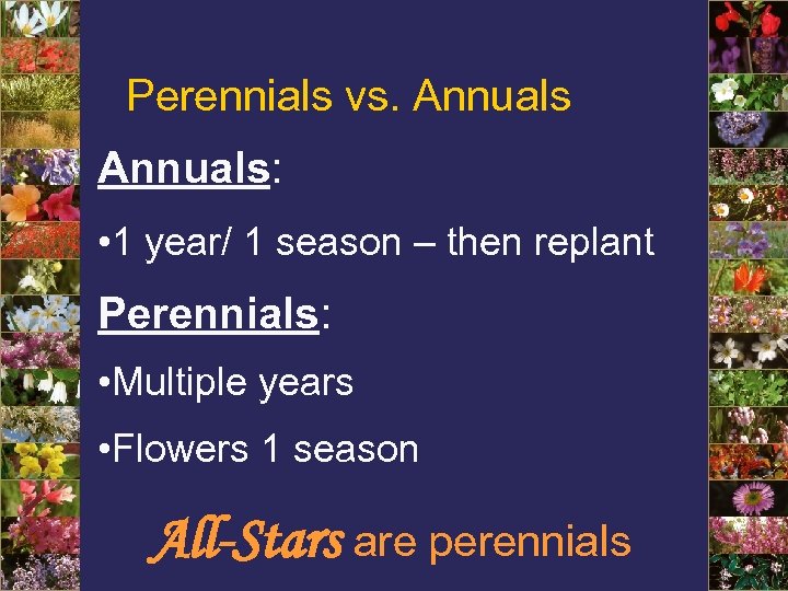 Perennials vs. Annuals: • 1 year/ 1 season – then replant Perennials: • Multiple