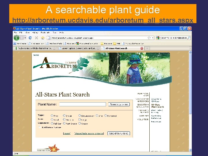 A searchable plant guide http: //arboretum. ucdavis. edu/arboretum_all_stars. aspx 