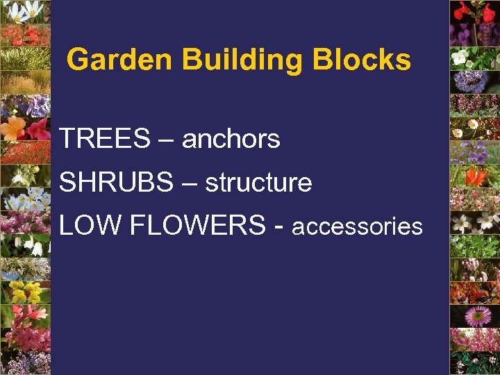 Garden Building Blocks TREES – anchors SHRUBS – structure LOW FLOWERS - accessories 