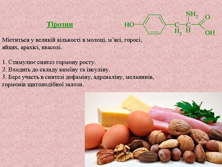 Тірозин Міститься у великій кількості в молоці, м’ясі, горосі, яйцях, арахісі, квасолі. 1. Стимулює