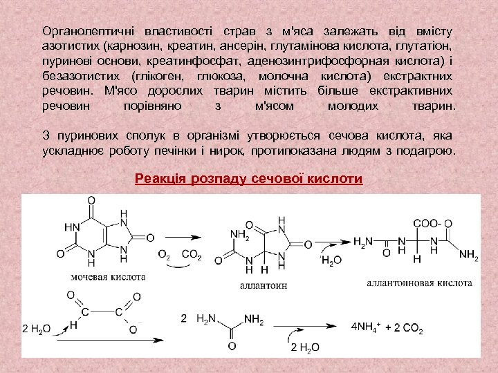 Органолептичні властивості страв з м'яса залежать від вмісту азотистих (карнозин, креатин, ансерін, глутамінова кислота,