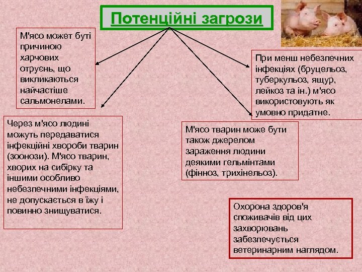 Потенційні загрози М'ясо может буті причиною харчових отруєнь, що викликаються найчастіше сальмонелами. Через м'ясо