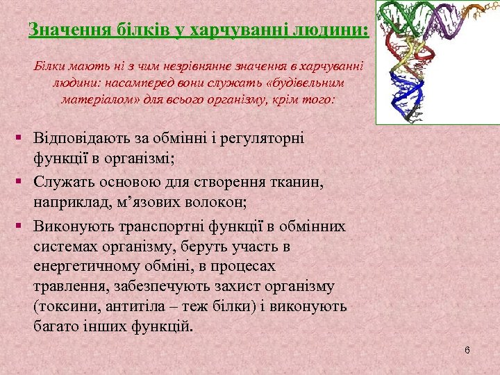 Значення білків у харчуванні людини: Білки мають ні з чим незрівнянне значення в харчуванні