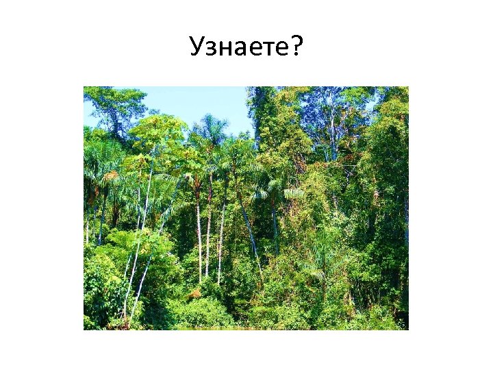 Узнаете? 