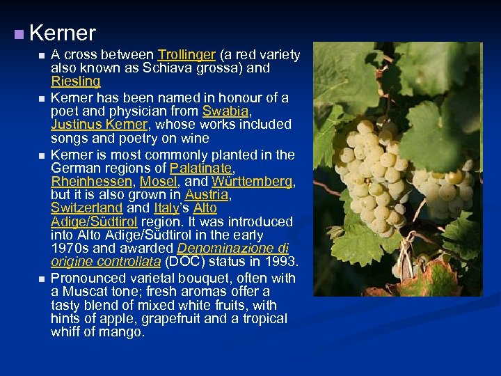 n Kerner n n A cross between Trollinger (a red variety also known as