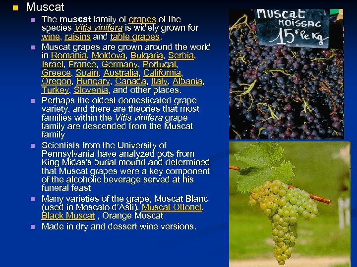n Muscat n n n The muscat family of grapes of the species Vitis