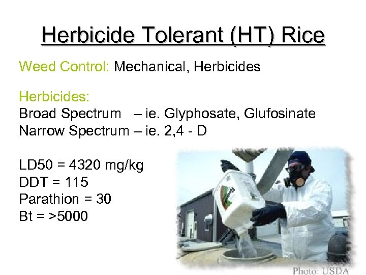 Herbicide Tolerant (HT) Rice Weed Control: Mechanical, Herbicides: Broad Spectrum – ie. Glyphosate, Glufosinate