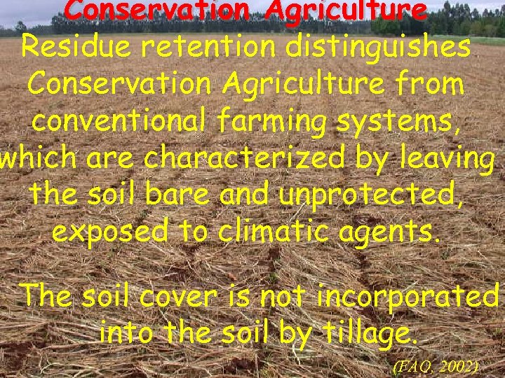 Conservation Agriculture Residue retention distinguishes Conservation Agriculture from conventional farming systems, which are characterized