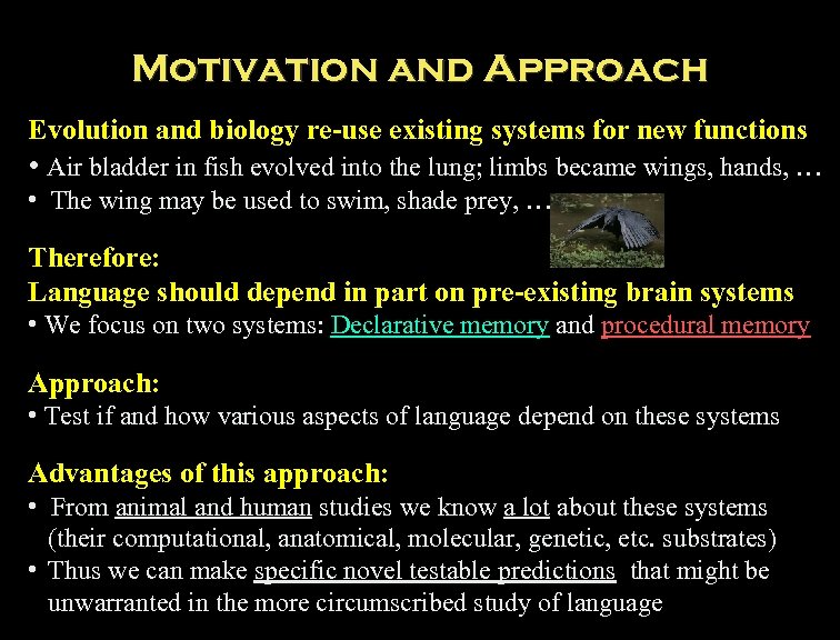 Motivation and Approach Evolution and biology re-use existing systems for new functions • Air