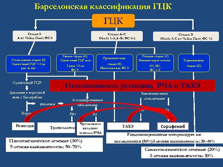 Барселонская классификация ГЦК Стадия 0 A по Чайлд-Пью; ФС 0 Ранняя стадия (A) Одиночный