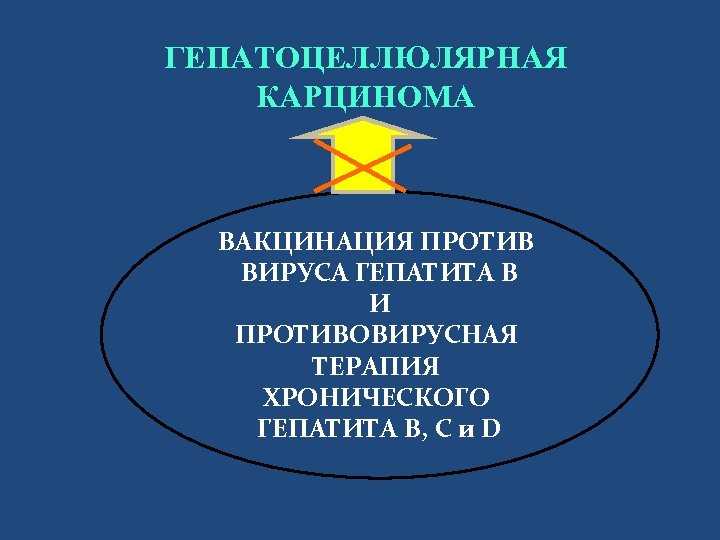 ГЕПАТОЦЕЛЛЮЛЯРНАЯ КАРЦИНОМА ВАКЦИНАЦИЯ ПРОТИВ ВИРУСА ГЕПАТИТА В И ПРОТИВОВИРУСНАЯ ТЕРАПИЯ ХРОНИЧЕСКОГО ГЕПАТИТА B, C