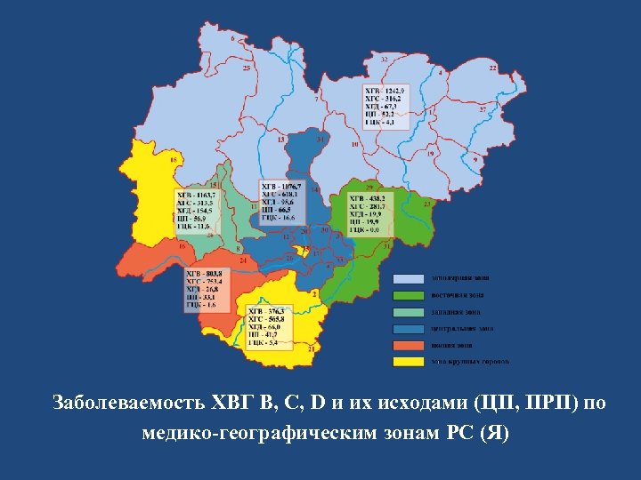  Заболеваемость ХВГ В, С, D и их исходами (ЦП, ПРП) по медико-географическим зонам