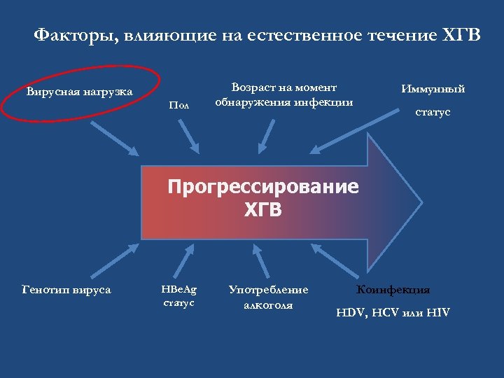 Факторы, влияющие на естественное течение ХГВ Вирусная нагрузка Пол Возраст на момент обнаружения инфекции