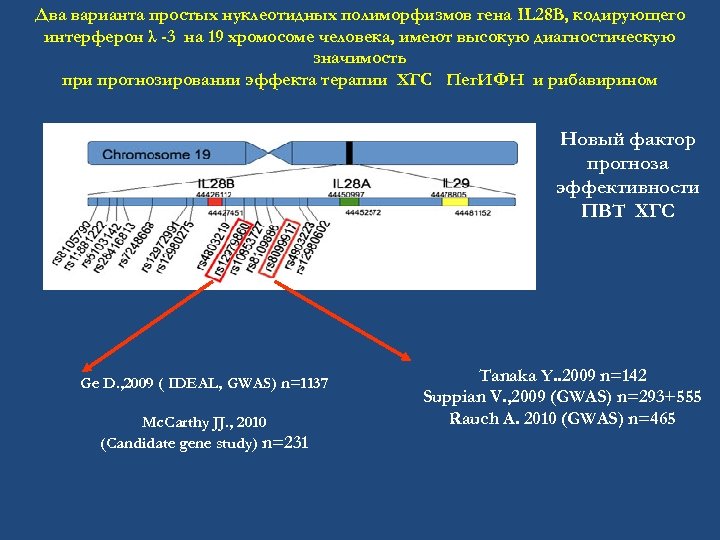 Два варианта простых нуклеотидных полиморфизмов гена IL 28 B, кодирующего интерферон λ -3 на