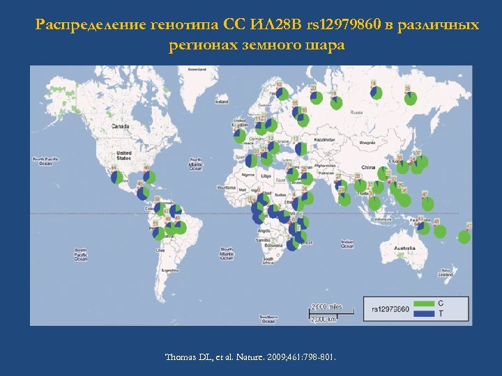 Распределение генотипа СС ИЛ 28 B rs 12979860 в различных регионах земного шара Thomas