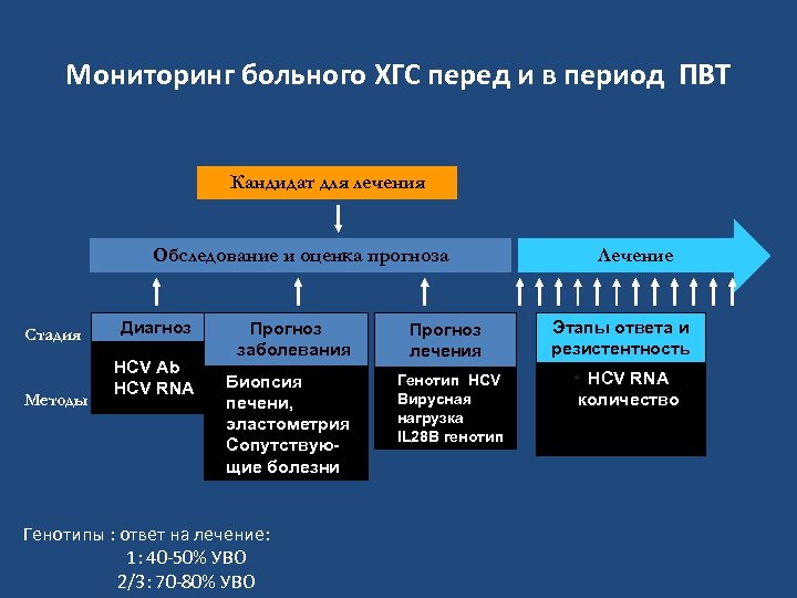 Мониторинг больного ХГС перед и в период ПВТ Кандидат для лечения Обследование и оценка