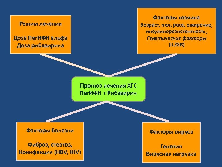 Факторы хозяина Режим лечения Возраст, пол, раса, ожирение, инсулинорезистентность, Генетические факторы (IL 28 B)