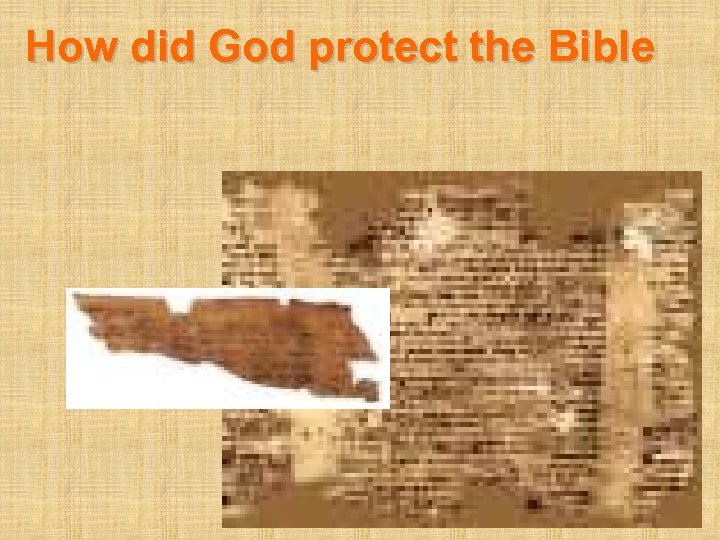 How did God protect the Bible 