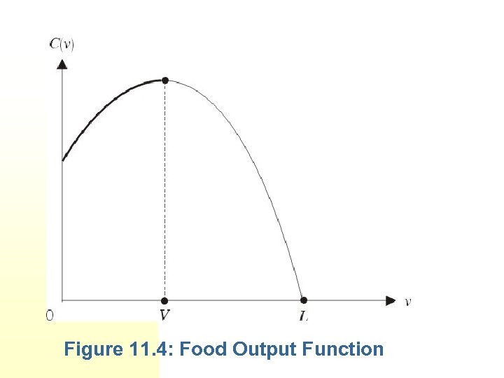 Figure 11. 4: Food Output Function 