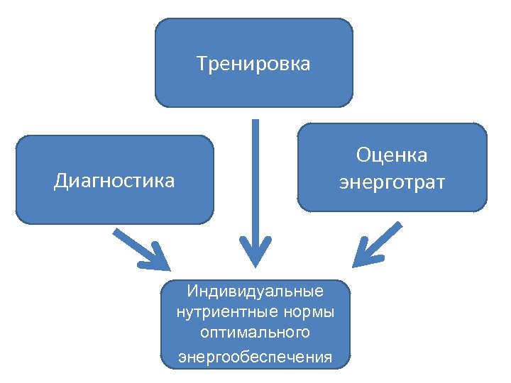 Тренировка Диагностика Оценка энерготрат Индивидуальные нутриентные нормы оптимального энергообеспечения 