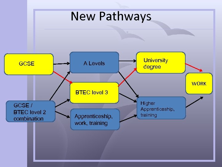 New Pathways GCSE A Levels University degree WORK BTEC level 3 GCSE / BTEC