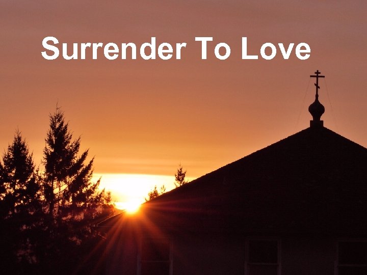 Surrender To Love 