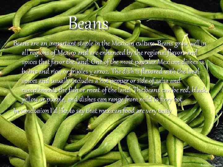 Beans are an important staple in the Mexican culture. Beans grow well in all